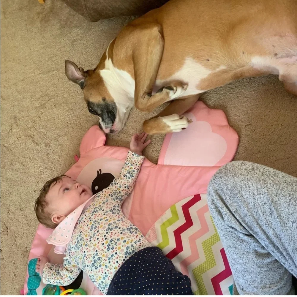 Apollo 🪽❤️‍🩹 - Picture 6 of 13